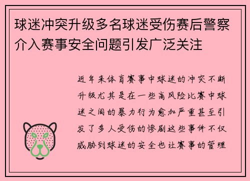 球迷冲突升级多名球迷受伤赛后警察介入赛事安全问题引发广泛关注